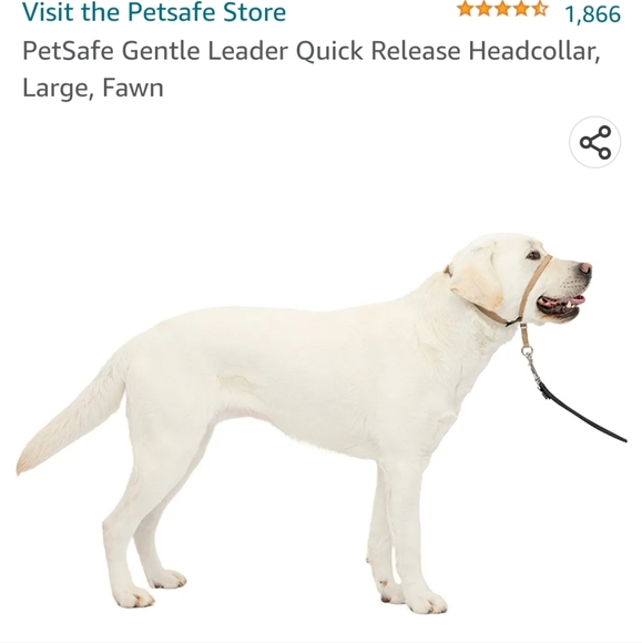 Gentle Leader Dog Lead - Picture 6 of 9